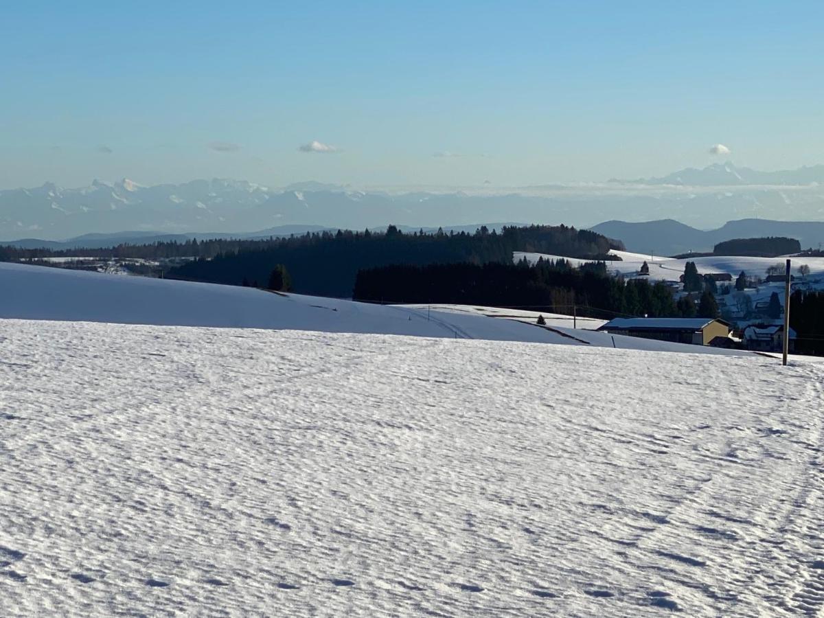 Appartement Bergwaerts Rickenbach  Dış mekan fotoğraf