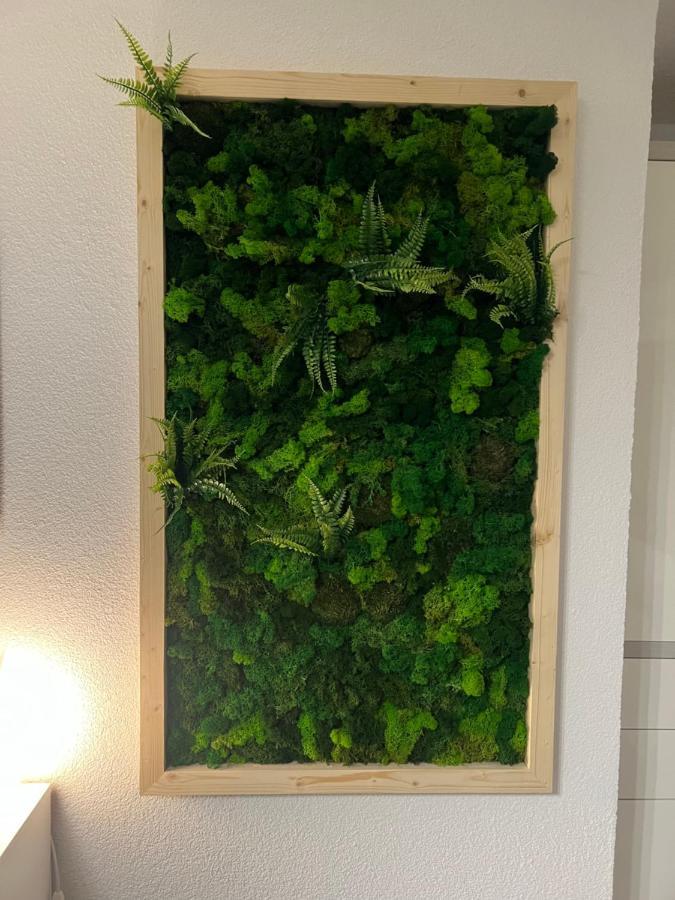 Appartement Bergwaerts Rickenbach  Dış mekan fotoğraf