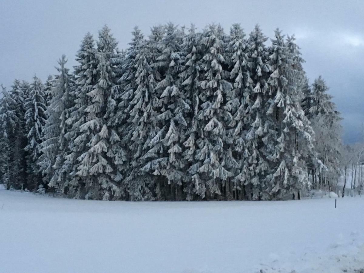 Appartement Bergwaerts Rickenbach  Dış mekan fotoğraf
