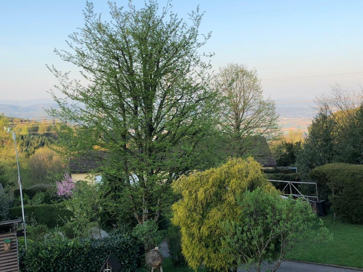 Appartement Bergwaerts Rickenbach  Dış mekan fotoğraf